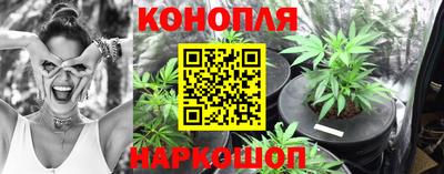 ALPHA PVP Будённовск